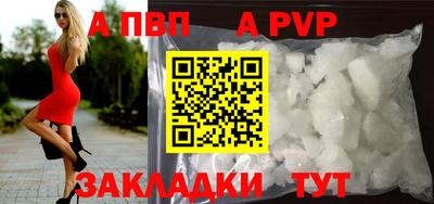 стафф Краснознаменск